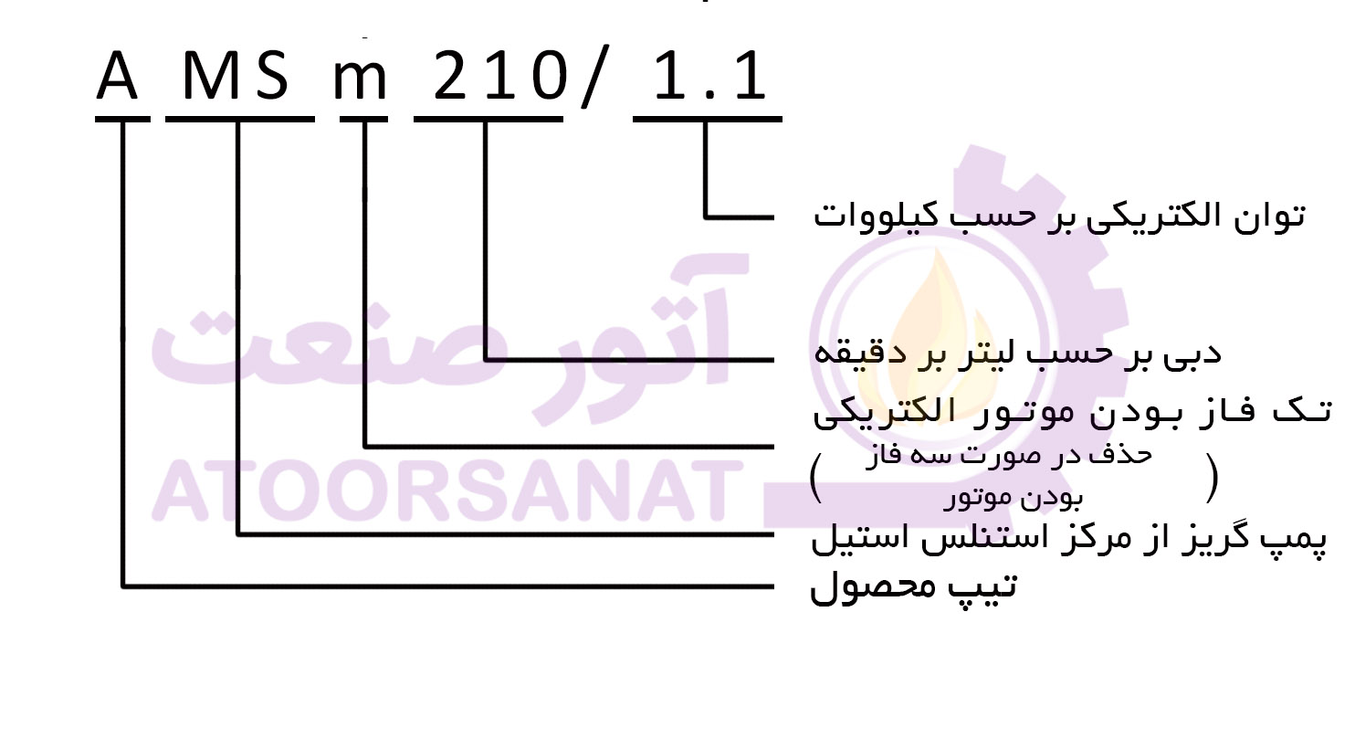 leo amsm210/1.1