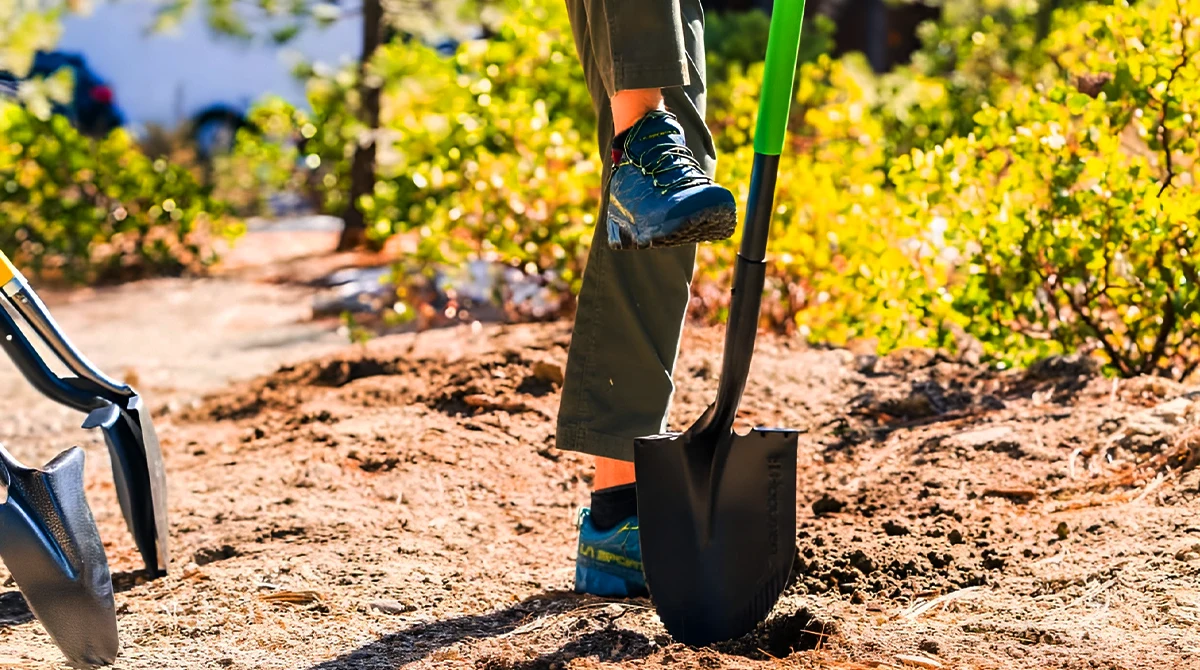 ابزار باغبانی ضروری (راهنمای کامل برای یک شروع هوشمندانه)