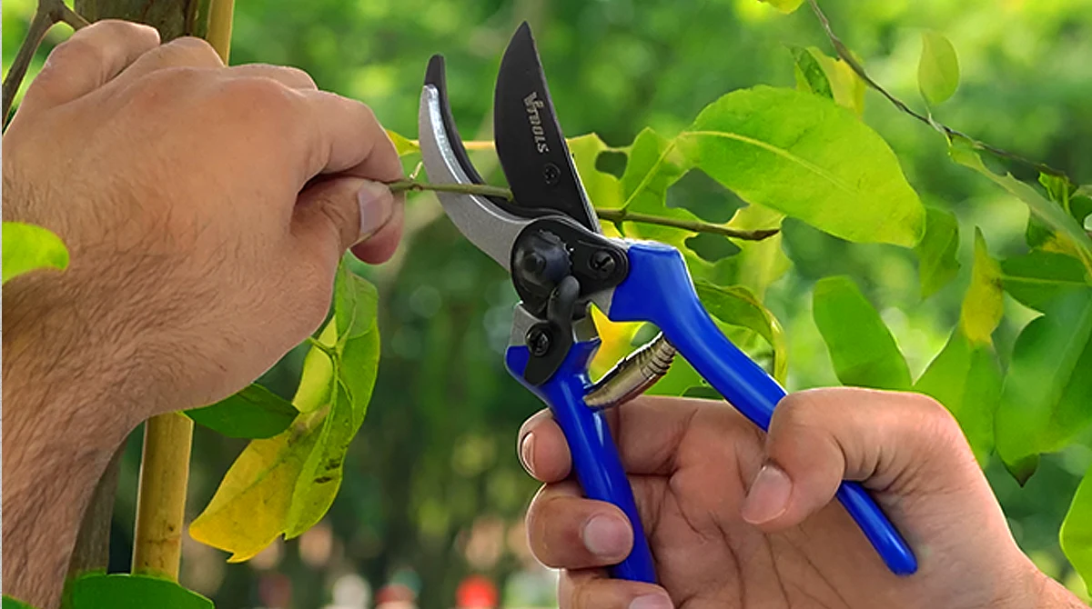ابزار باغبانی ضروری (راهنمای کامل برای یک شروع هوشمندانه)